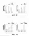 Fig. 12 - METHODS FOR MODULATING IMMUNE RESPONSES DURING CHRONIC IMMUNE CONDITIONS BY TARGETING IL-27 INDUCED PATHWAYS