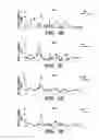 Fig. 14 - METHODS FOR MODULATING IMMUNE RESPONSES DURING CHRONIC IMMUNE CONDITIONS BY TARGETING IL-27 INDUCED PATHWAYS