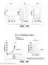 Fig. 17 - METHODS FOR MODULATING IMMUNE RESPONSES DURING CHRONIC IMMUNE CONDITIONS BY TARGETING IL-27 INDUCED PATHWAYS
