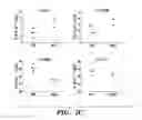 Fig. 20 - METHODS FOR MODULATING IMMUNE RESPONSES DURING CHRONIC IMMUNE CONDITIONS BY TARGETING IL-27 INDUCED PATHWAYS