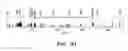 Fig. 26 - METHODS FOR MODULATING IMMUNE RESPONSES DURING CHRONIC IMMUNE CONDITIONS BY TARGETING IL-27 INDUCED PATHWAYS