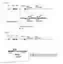 Fig. 02 - HUMAN ANTIBODY-PRODUCING CELL