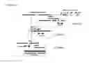 Fig. 11 - HUMAN ANTIBODY-PRODUCING CELL