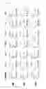Fig. 13 - HUMAN ANTIBODY-PRODUCING CELL