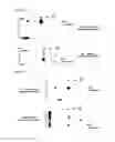 Fig. 21 - HUMAN ANTIBODY-PRODUCING CELL
