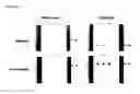 Fig. 24 - HUMAN ANTIBODY-PRODUCING CELL