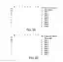 Fig. 05 - Engineered antibody FC variants