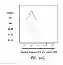 Fig. 20 - Engineered antibody FC variants