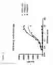 Fig. 27 - HUMAN ANTIBODIES THAT BIND CD22 AND USES THEREOF