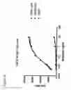Fig. 28 - HUMAN ANTIBODIES THAT BIND CD22 AND USES THEREOF
