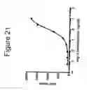 Fig. 43 - HUMAN ANTIBODIES THAT BIND CD22 AND USES THEREOF