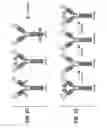 Fig. 23 - Anti-CD79B antibodies and immunoconjugates and methods of use