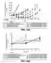 Fig. 31 - Anti-CD79B antibodies and immunoconjugates and methods of use