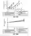 Fig. 33 - Anti-CD79B antibodies and immunoconjugates and methods of use