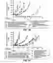 Fig. 34 - Anti-CD79B antibodies and immunoconjugates and methods of use
