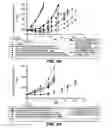 Fig. 45 - Anti-CD79B antibodies and immunoconjugates and methods of use