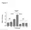 Fig. 04 - Methods to activate or block the HLA-E/Qa-1 restricted CD8+ T cell regulatory pathway to treat immunological disease
