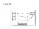 Fig. 12 - Methods to activate or block the HLA-E/Qa-1 restricted CD8+ T cell regulatory pathway to treat immunological disease