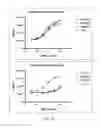 Fig. 08 - Antibodies that bind EGFR and ErbB3