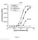 Fig. 38 - Antibodies that bind EGFR and ErbB3