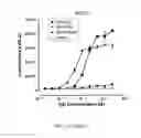 Fig. 40 - Antibodies that bind EGFR and ErbB3