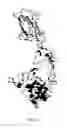 Fig. 44 - Antibodies that bind EGFR and ErbB3
