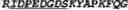 Fig. 03 - ANTI-CD40 ANTIBODIES