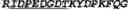 Fig. 06 - ANTI-CD40 ANTIBODIES