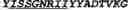Fig. 09 - ANTI-CD40 ANTIBODIES