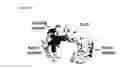 Fig. 41 - Methods of reducing clinical symptoms of viral infection by administering a toll-like receptor 3 antagonist