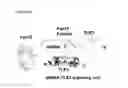 Fig. 42 - Methods of reducing clinical symptoms of viral infection by administering a toll-like receptor 3 antagonist