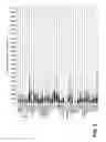 Fig. 03 - Anti-Ly6E antibodies and methods of use