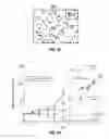 Fig. 08 - Anti-Ly6E antibodies and methods of use