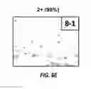 Fig. 10 - Anti-Ly6E antibodies and methods of use