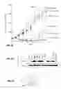 Fig. 13 - Anti-Ly6E antibodies and methods of use