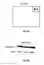 Fig. 14 - Anti-Ly6E antibodies and methods of use