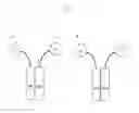 Fig. 06 - METHODS, COMPOSITIONS AND KITS FOR CELL SPECIFIC MODULATION OF TARGET ANTIGENS