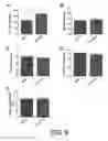 Fig. 10 - ERBB2 SIGNALING AND NERVE REGENERATION