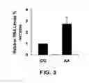 Fig. 04 - METHOD OF DETECTING OCULAR DISEASES AND PATHOLOGIC CONDITIONS AND TREATMENT OF SAME
