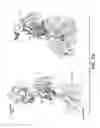 Fig. 22 - Nucleic acid molecules encoding for BACE1 antibodies