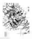 Fig. 23 - Nucleic acid molecules encoding for BACE1 antibodies
