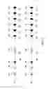 Fig. 04 - ENHANCED PRODUCTION OF IMMUNOGLOBULINS