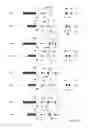 Fig. 05 - ENHANCED PRODUCTION OF IMMUNOGLOBULINS