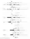 Fig. 07 - ENHANCED PRODUCTION OF IMMUNOGLOBULINS