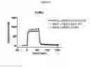 Fig. 22 - COMPOSITIONS AND METHODS FOR SIMULTANEOUS BIVALENT AND MONOVALENT CO-ENGAGEMENT OF ANTIGENS