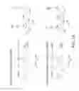 Fig. 02 - Multifunctional and multicoordinating amphiphilic polymer ligands for interfacing semiconducting, magnetic, and metallic nanocrystals with biological systems