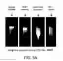Fig. 11 - Multifunctional and multicoordinating amphiphilic polymer ligands for interfacing semiconducting, magnetic, and metallic nanocrystals with biological systems