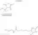 Fig. 33 - Multifunctional and multicoordinating amphiphilic polymer ligands for interfacing semiconducting, magnetic, and metallic nanocrystals with biological systems