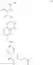 Fig. 37 - Multifunctional and multicoordinating amphiphilic polymer ligands for interfacing semiconducting, magnetic, and metallic nanocrystals with biological systems
