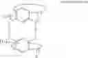 Fig. 14 - POLYMER COMPOUND, RADIATION SENSITIVE COMPOSITION AND PATTERN FORMING METHOD